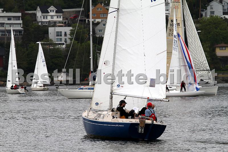 Bundefjorden2012 037.jpg